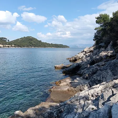 Dragana Apartment *